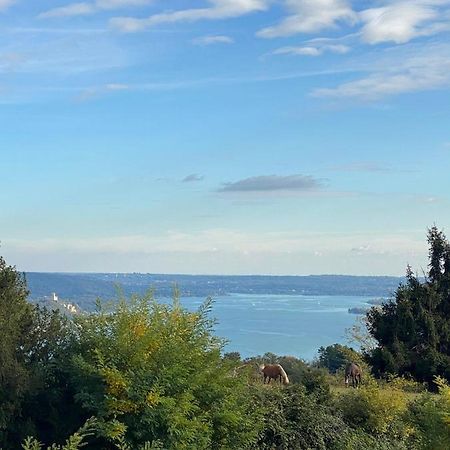 La Garconnierre Del Lago Maggiore Nebbiuno 外观 照片