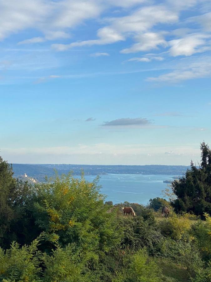 La Garconnierre Del Lago Maggiore Nebbiuno 外观 照片